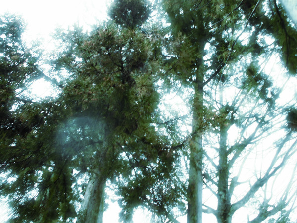 f:id:amenomorino:20150317135300j:plain f:id:amenomorino:20150317135300j:plain
