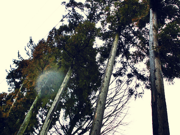 f:id:amenomorino:20150317153431j:plain f:id:amenomorino:20150317153431j:plain