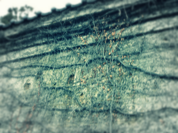 f:id:amenomorino:20150319161704j:plain f:id:amenomorino:20150319161704j:plain