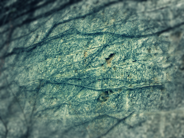 f:id:amenomorino:20150319161713j:plain f:id:amenomorino:20150319161713j:plain