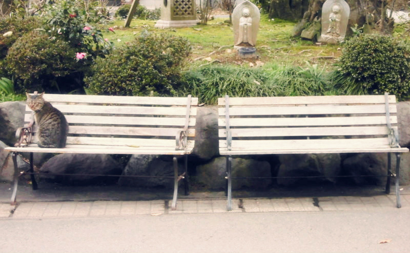 f:id:amenomorino:20150325101238j:plain f:id:amenomorino:20150325101238j:plain