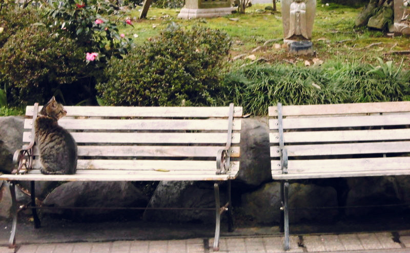f:id:amenomorino:20150325101432j:plain f:id:amenomorino:20150325101432j:plain