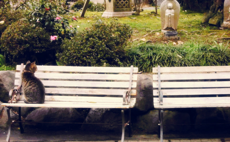 f:id:amenomorino:20150325101707j:plain f:id:amenomorino:20150325101707j:plain