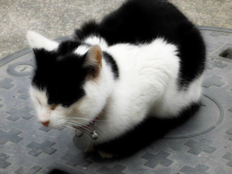 f:id:amenomorino:20150328120009j:plain f:id:amenomorino:20150328120009j:plain