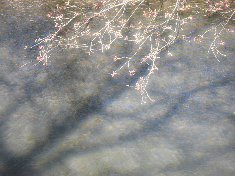 f:id:amenomorino:20150331182910j:plain f:id:amenomorino:20150331182910j:plain