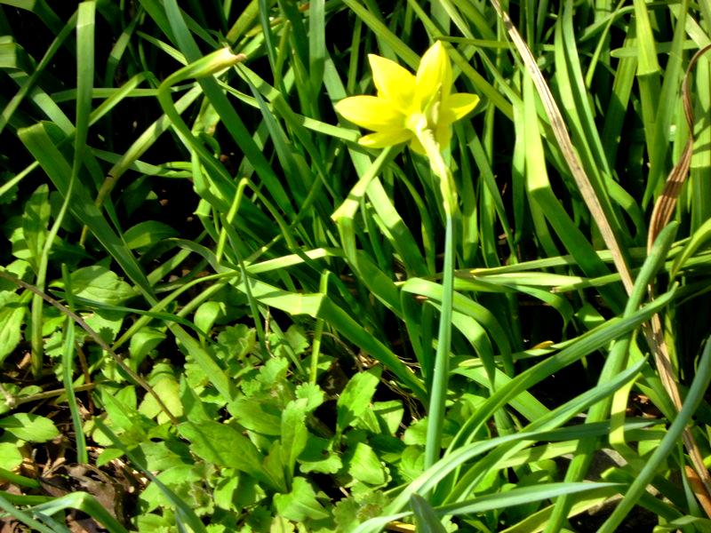 f:id:amenomorino:20150331184806j:plain f:id:amenomorino:20150331184806j:plain