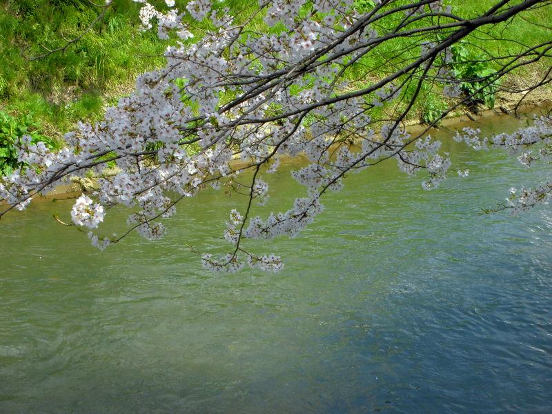 f:id:amenomorino:20150412144412j:plain f:id:amenomorino:20150412144412j:plain