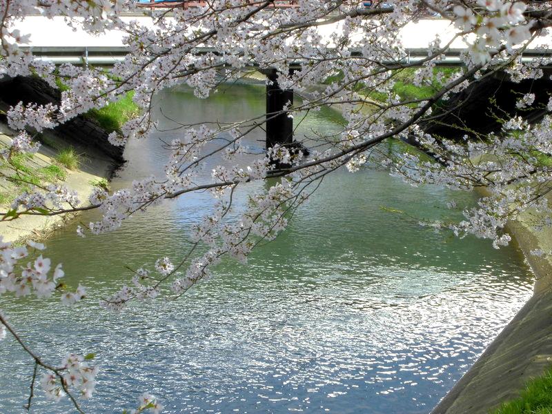 f:id:amenomorino:20150412144949j:plain f:id:amenomorino:20150412144949j:plain