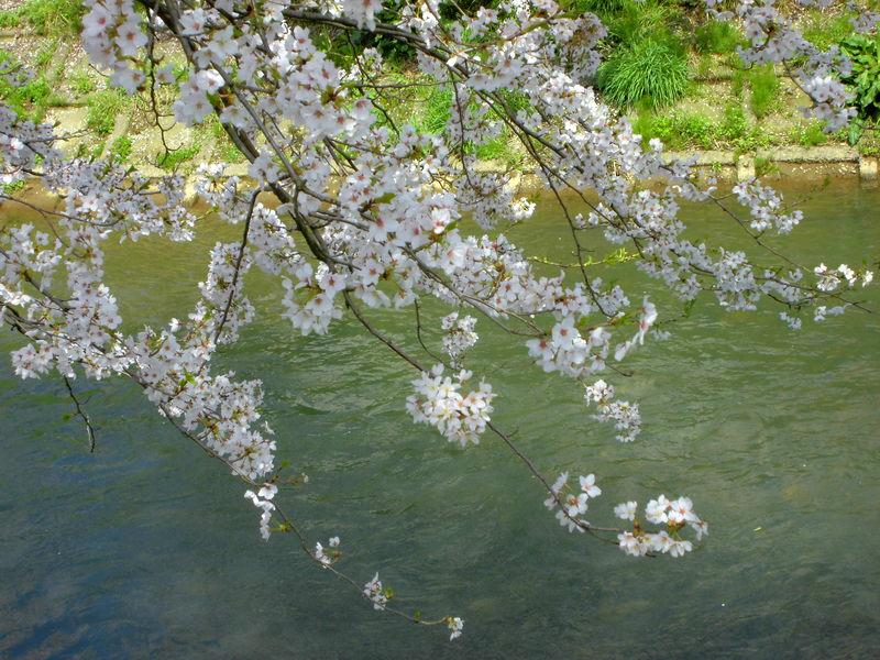 f:id:amenomorino:20150412145205j:plain f:id:amenomorino:20150412145205j:plain