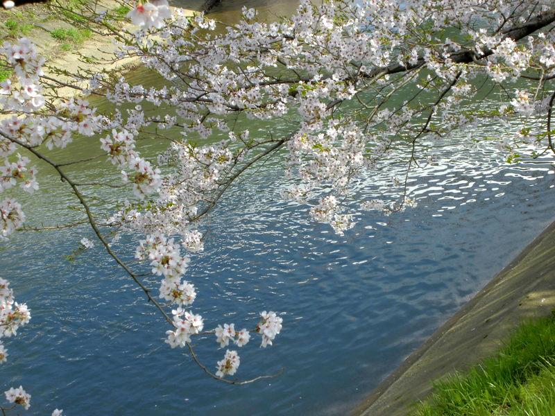 f:id:amenomorino:20150412145220j:plain f:id:amenomorino:20150412145220j:plain