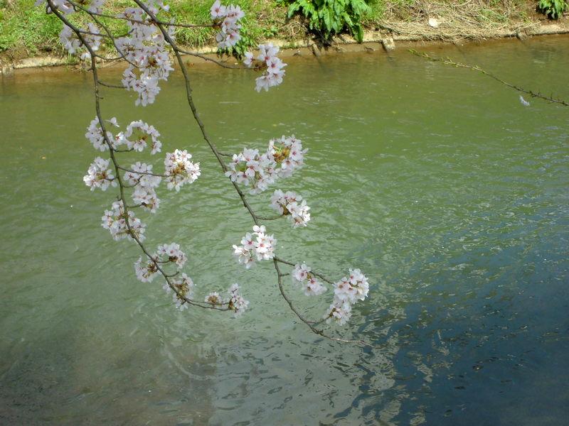 f:id:amenomorino:20150412145240j:plain f:id:amenomorino:20150412145240j:plain