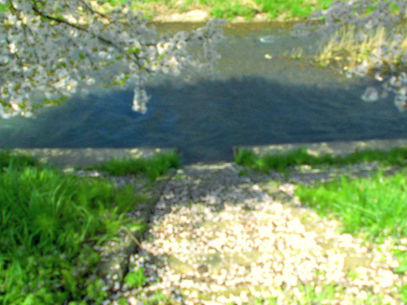 f:id:amenomorino:20150412155119j:plain f:id:amenomorino:20150412155119j:plain