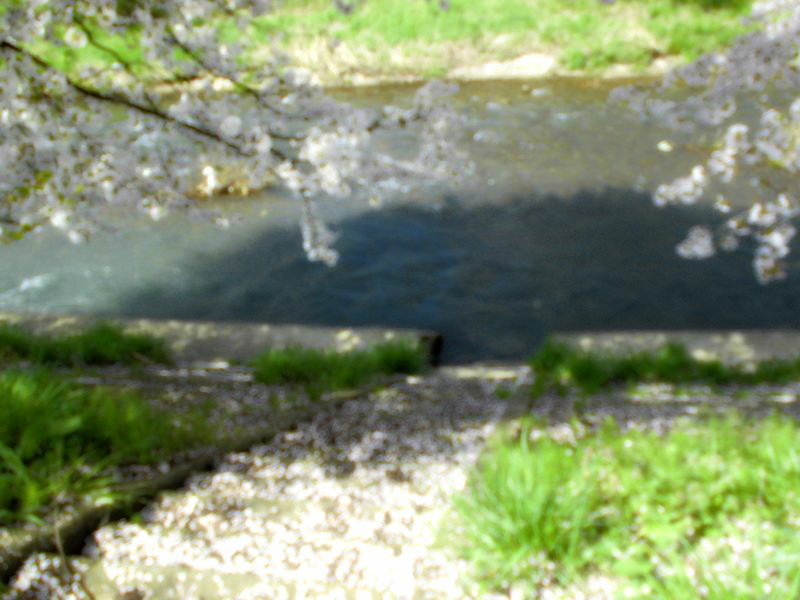 f:id:amenomorino:20150412155324j:plain f:id:amenomorino:20150412155324j:plain