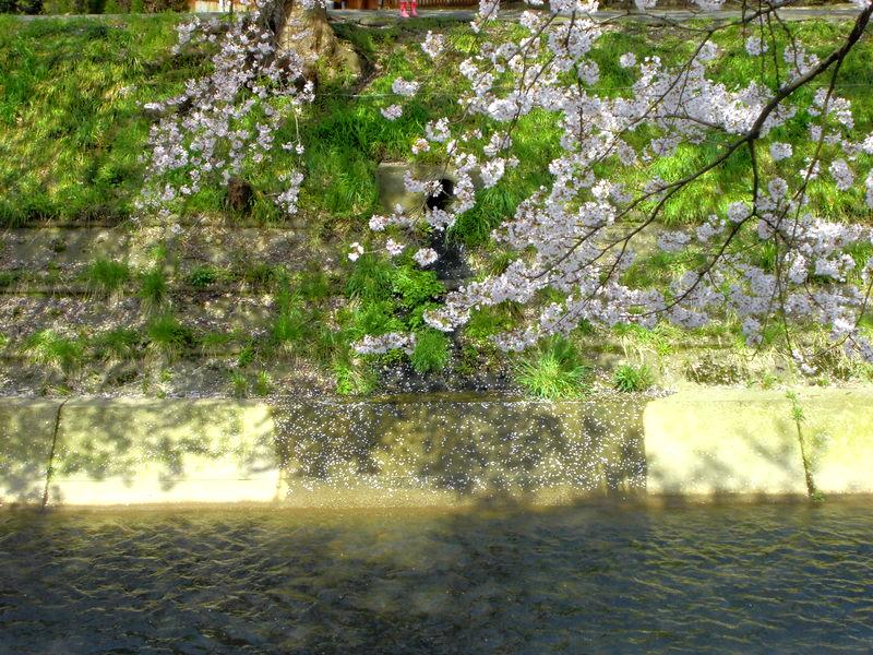 f:id:amenomorino:20150414132639j:plain f:id:amenomorino:20150414132639j:plain