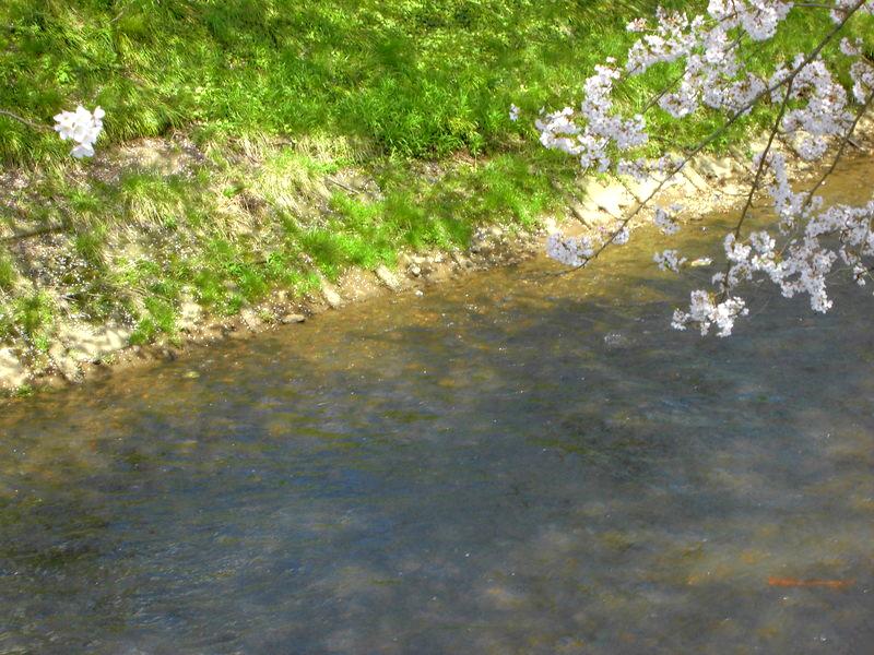 f:id:amenomorino:20150414132822j:plain f:id:amenomorino:20150414132822j:plain