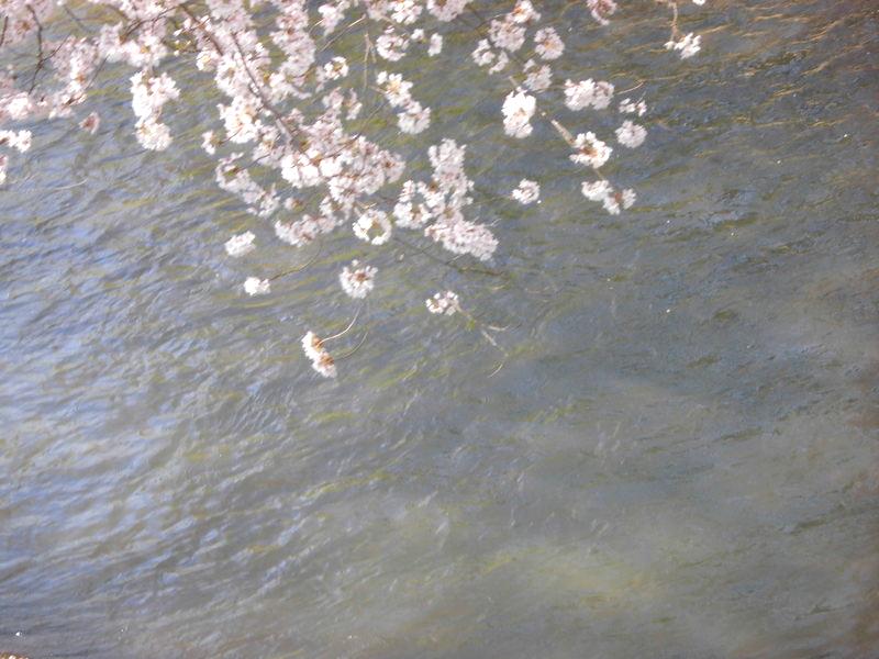 f:id:amenomorino:20150414132927j:plain f:id:amenomorino:20150414132927j:plain