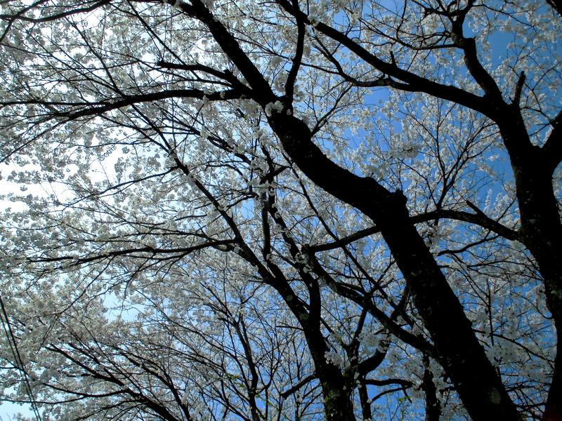 f:id:amenomorino:20150414133347j:plain f:id:amenomorino:20150414133347j:plain