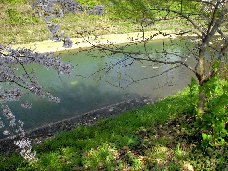 f:id:amenomorino:20150414133847j:plain f:id:amenomorino:20150414133847j:plain