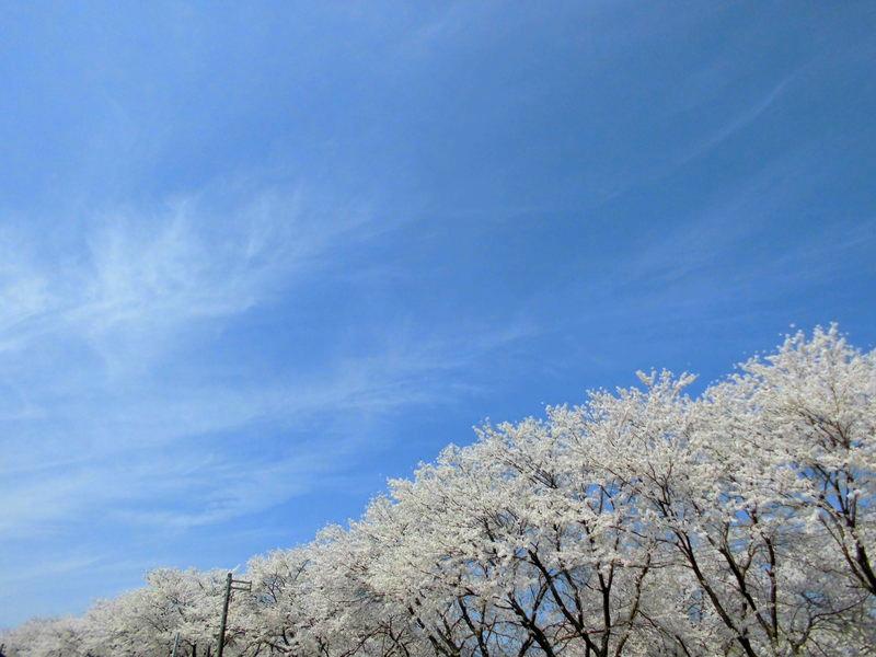 f:id:amenomorino:20150414134025j:plain f:id:amenomorino:20150414134025j:plain