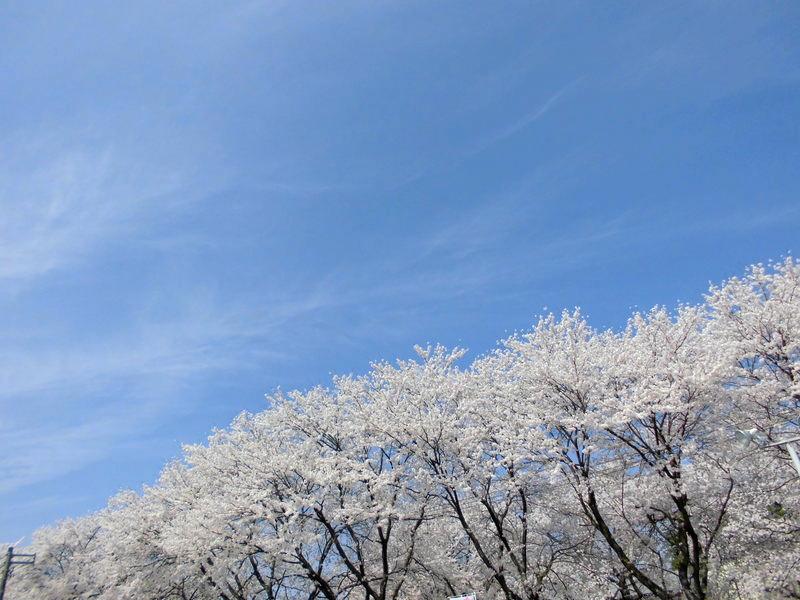 f:id:amenomorino:20150414134044j:plain f:id:amenomorino:20150414134044j:plain