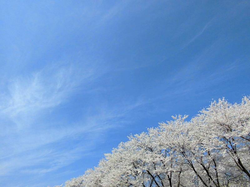 f:id:amenomorino:20150414134054j:plain f:id:amenomorino:20150414134054j:plain