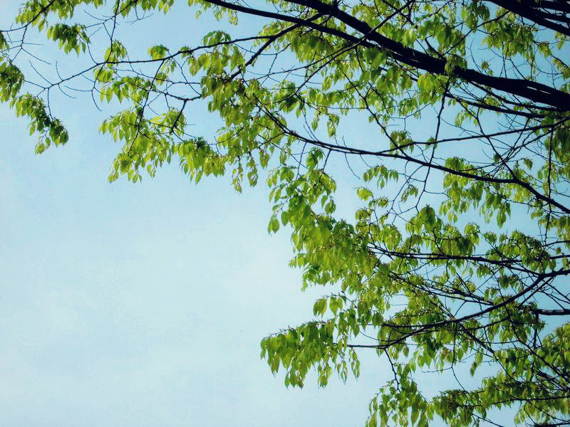 f:id:amenomorino:20150416135251j:plain f:id:amenomorino:20150416135251j:plain