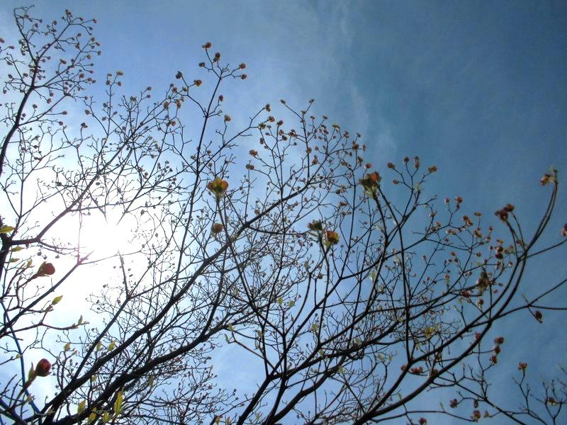 f:id:amenomorino:20150420091504j:plain f:id:amenomorino:20150420091504j:plain