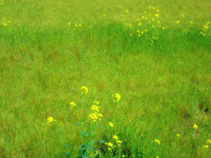 f:id:amenomorino:20150423175713j:plain f:id:amenomorino:20150423175713j:plain