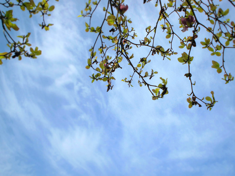 f:id:amenomorino:20150427163610j:plain f:id:amenomorino:20150427163610j:plain