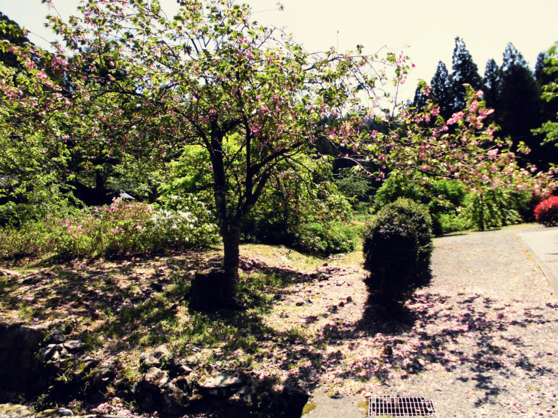 f:id:amenomorino:20150506181009j:plain f:id:amenomorino:20150506181009j:plain