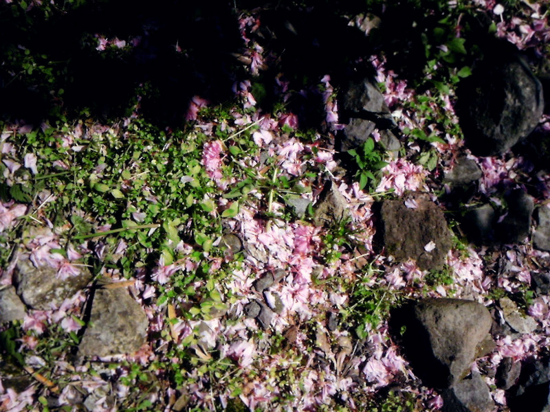 f:id:amenomorino:20150506182627j:plain f:id:amenomorino:20150506182627j:plain