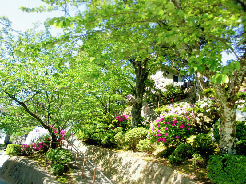 f:id:amenomorino:20150511174839j:plain f:id:amenomorino:20150511174839j:plain
