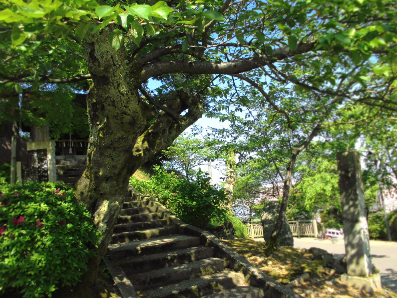 f:id:amenomorino:20150511174855j:plain f:id:amenomorino:20150511174855j:plain