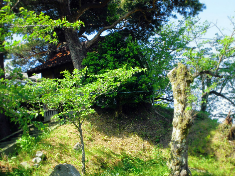 f:id:amenomorino:20150511175026j:plain f:id:amenomorino:20150511175026j:plain