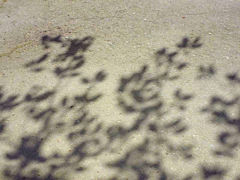 f:id:amenomorino:20150511175222j:plain f:id:amenomorino:20150511175222j:plain