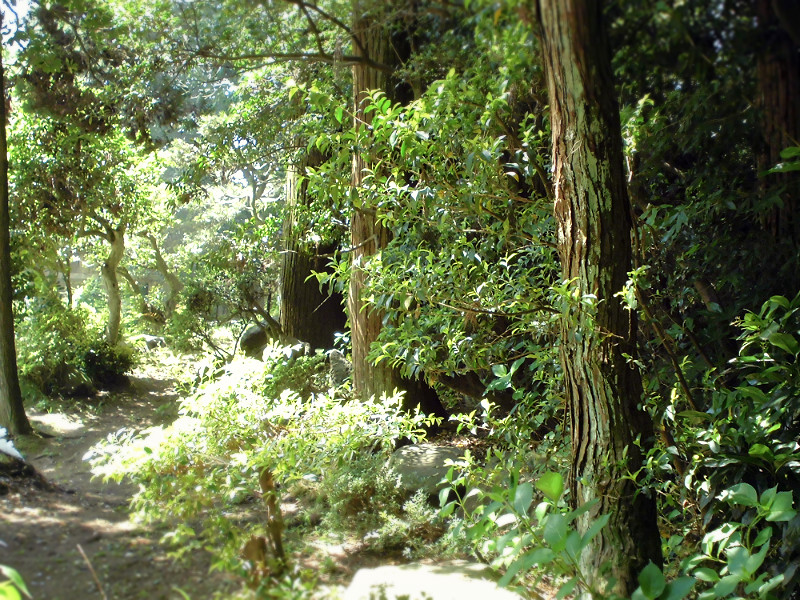 f:id:amenomorino:20150528204424j:plain f:id:amenomorino:20150528204424j:plain