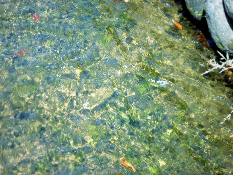 f:id:amenomorino:20150603090715j:plain f:id:amenomorino:20150603090715j:plain