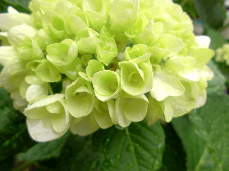 f:id:amenomorino:20150607213336j:plain f:id:amenomorino:20150607213336j:plain