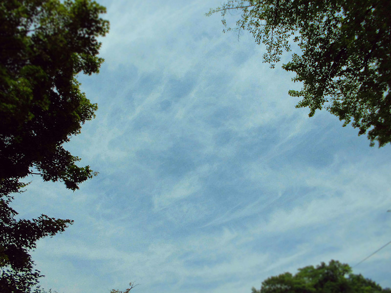 f:id:amenomorino:20150615123504j:plain f:id:amenomorino:20150615123504j:plain