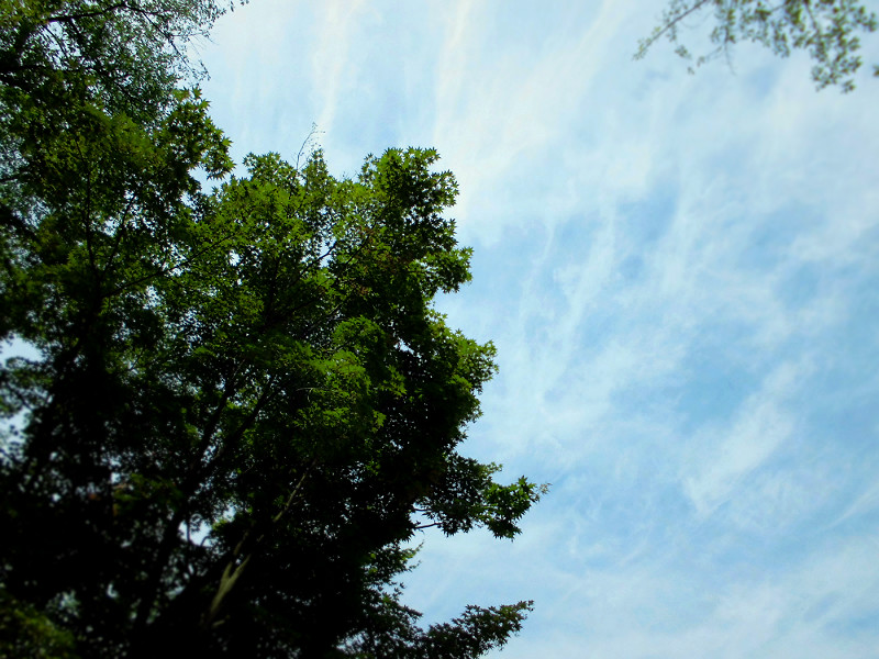 f:id:amenomorino:20150615123517j:plain f:id:amenomorino:20150615123517j:plain