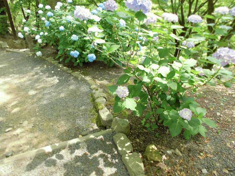 f:id:amenomorino:20150618124416j:plain f:id:amenomorino:20150618124416j:plain