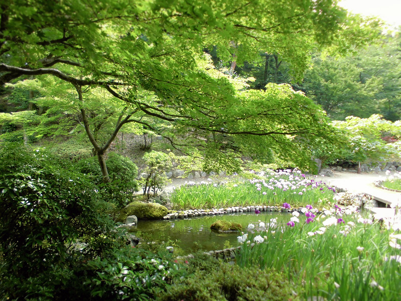 f:id:amenomorino:20150620160521j:plain f:id:amenomorino:20150620160521j:plain