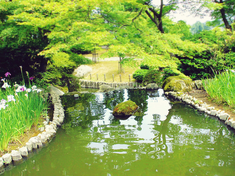 f:id:amenomorino:20150622095303j:plain f:id:amenomorino:20150622095303j:plain