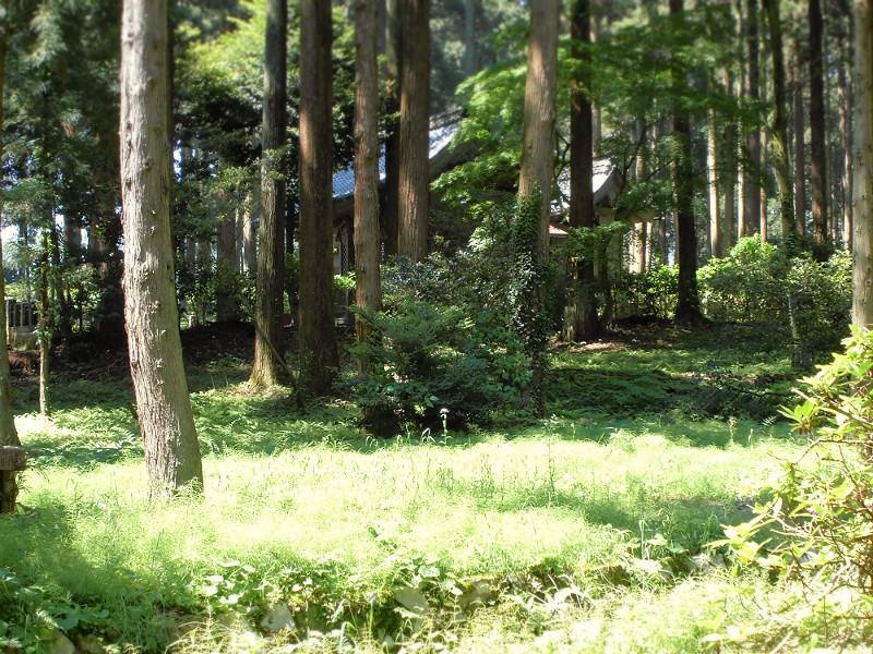 f:id:amenomorino:20150627092556j:plain f:id:amenomorino:20150627092556j:plain