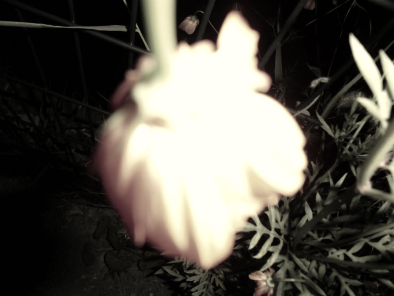 f:id:amenomorino:20150810184318j:plain f:id:amenomorino:20150810184318j:plain