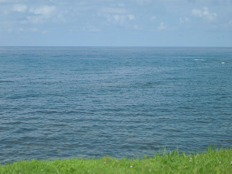 f:id:amenomorino:20150817145641j:plain f:id:amenomorino:20150817145641j:plain