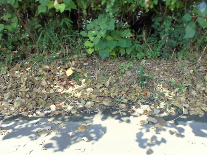 f:id:amenomorino:20150908092441j:plain f:id:amenomorino:20150908092441j:plain