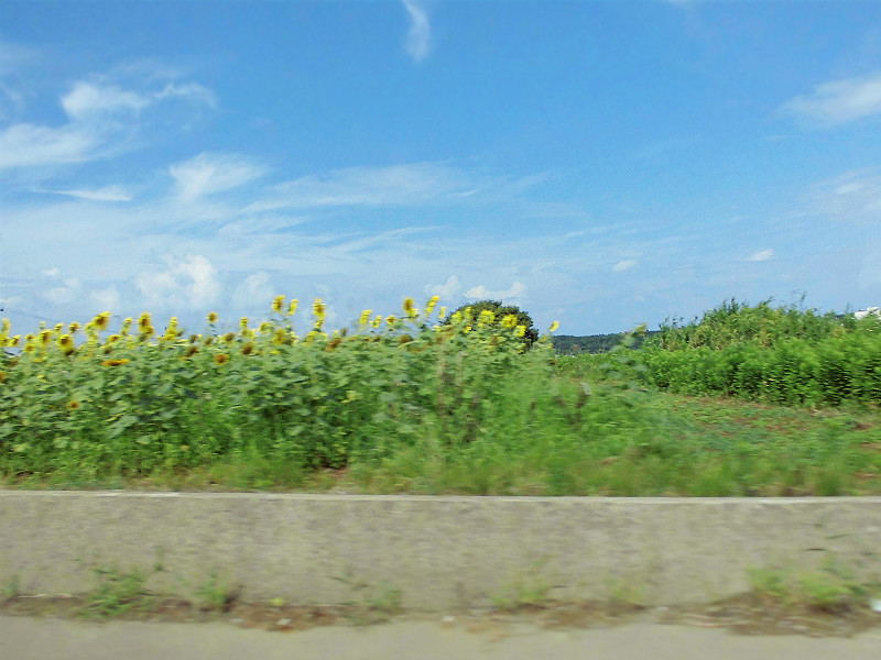 f:id:amenomorino:20150908092622j:plain f:id:amenomorino:20150908092622j:plain