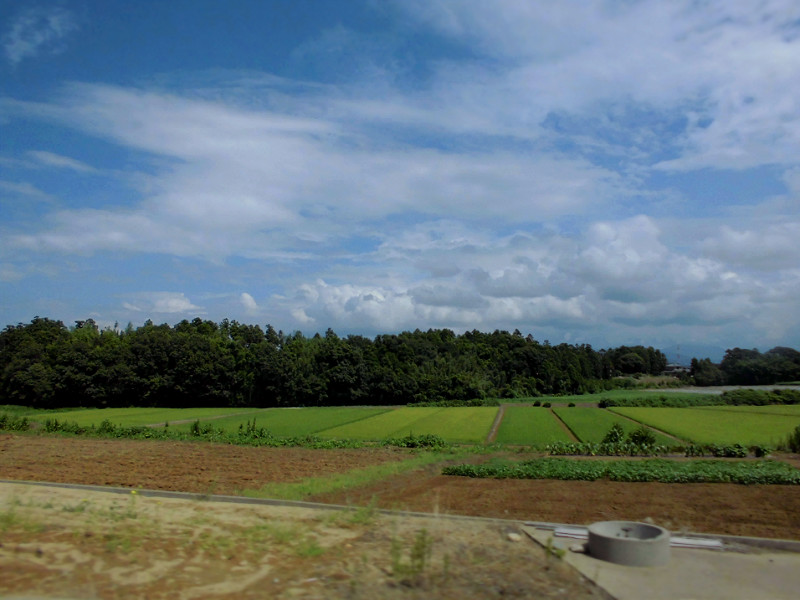 f:id:amenomorino:20150908092643j:plain f:id:amenomorino:20150908092643j:plain