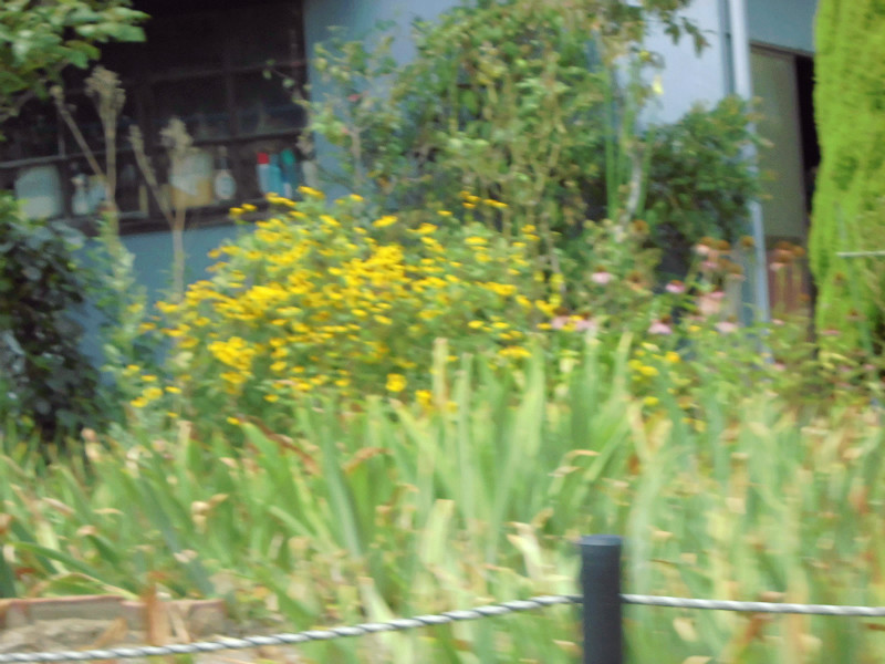 f:id:amenomorino:20150908092844j:plain f:id:amenomorino:20150908092844j:plain